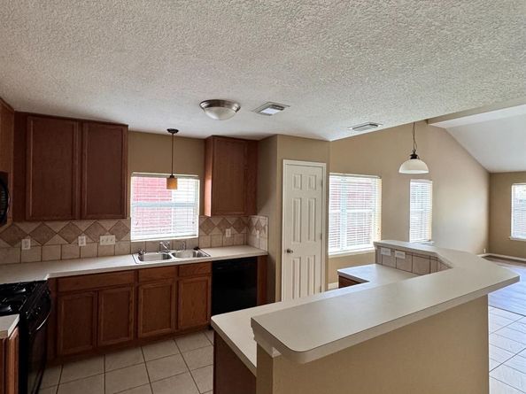 17435 Prospect Meadows Drive, Houston TX 77095