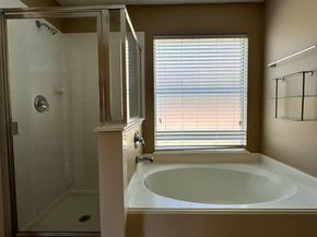 17435 Prospect Meadows Drive, Houston TX 77095