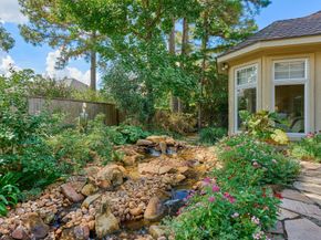 3 Star Fern Place, The Woodlands TX 77380