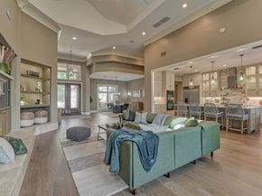 3 Star Fern Place, The Woodlands TX 77380