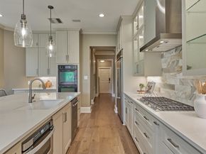3 Star Fern Place, The Woodlands TX 77380