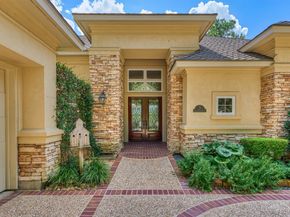 3 Star Fern Place, The Woodlands TX 77380