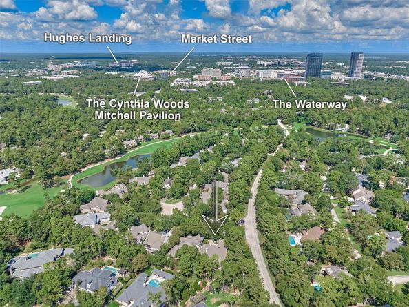 3 Star Fern Place, The Woodlands TX 77380