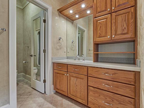 3 Star Fern Place, The Woodlands TX 77380