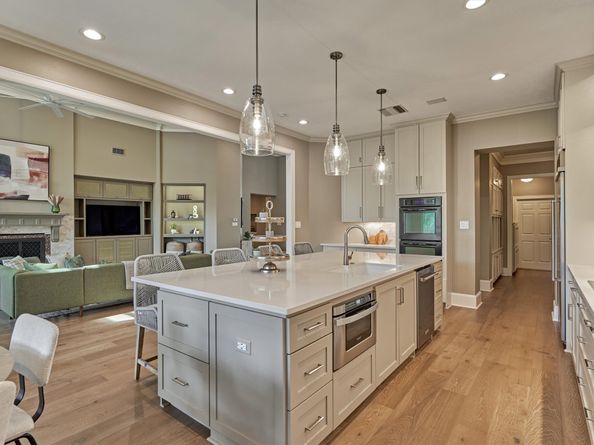 3 Star Fern Place, The Woodlands TX 77380