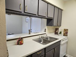 8433 Hearth Drive 38, Houston TX 77054