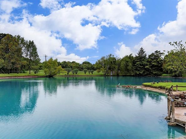 15747 Tanya Circle, Houston TX 77079