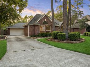 11 Amber Sky Place, The Woodlands TX 77381
