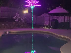 2606 Springfield Road, Broomall PA 19008