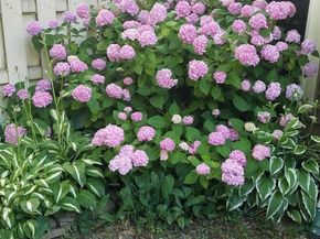 1565 Butterfly Court, Yardley PA 19067