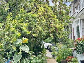 4616 Paschall Avenue, Philadelphia PA 19143