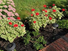 1108 Surrey Road, Philadelphia PA 19115