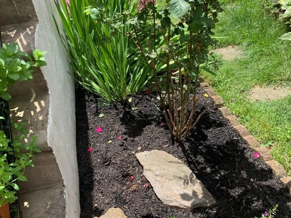 1108 Surrey Road, Philadelphia PA 19115