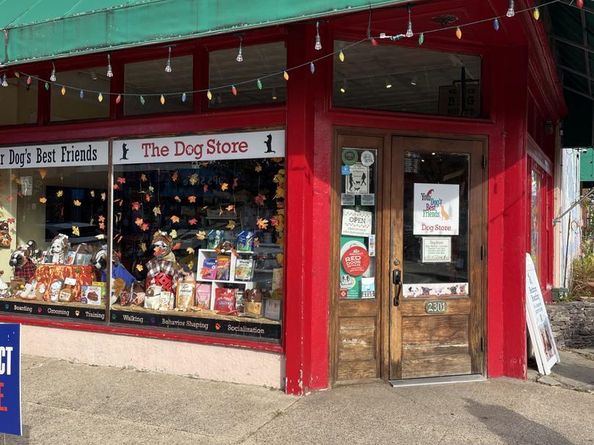 565 E Nelson Avenue, Alexandria VA 22301