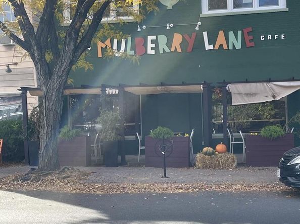 565 E Nelson Avenue, Alexandria VA 22301