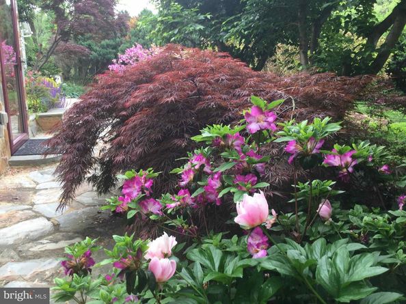 9720 Five Oaks Road, Fairfax VA 22031