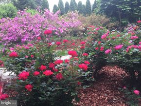 9720 Five Oaks Road, Fairfax VA 22031