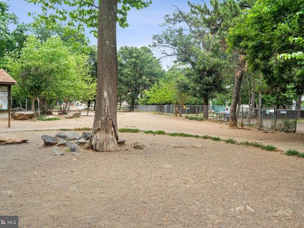 3519 Valley Drive, Alexandria VA 22302