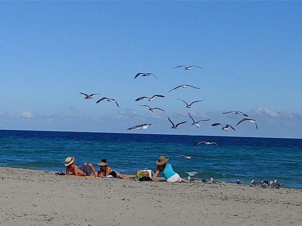 777 N Ocean Dr N522, Hollywood FL 33019