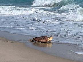 303 Mainsail Circle, Jupiter FL 33477