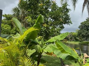 10180 Camelback Lane, Boca Raton FL 33498