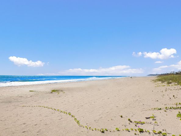 1491 N Ocean Boulevard, Palm Beach FL 33480