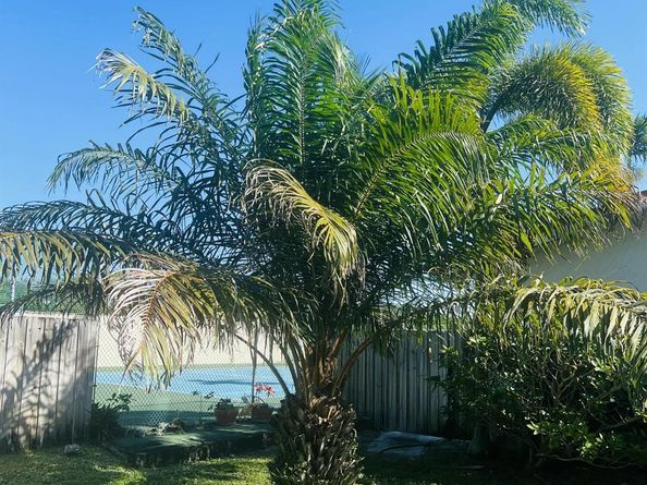 1270 NW 4th Avenue, Boca Raton FL 33432