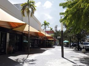 642 Valencia 305, Coral Gables FL 33134