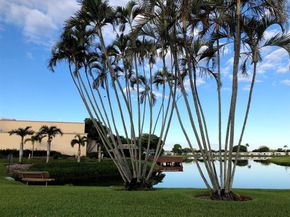 1035 NW 88th Ave C89, Fort Lauderdale FL 33322