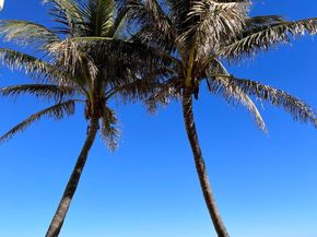5080 N Ocean Drive 20c, Riviera Beach FL 33404