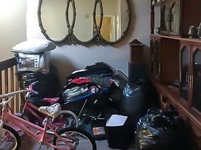 6217 Ludington Drive 20915, Houston TX 77035