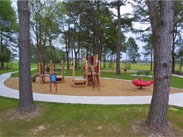 1231 Heath Hollow Drive, Spring TX 77379