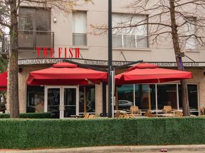 1408 W Webster Street, Houston TX 77019