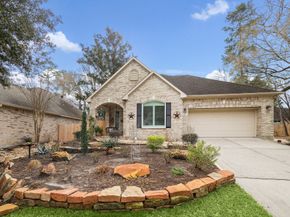 167 E Northcastle Circle, Conroe TX 77384