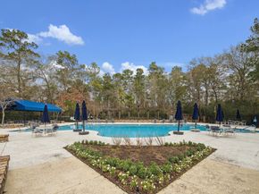 167 E Northcastle Circle, Conroe TX 77384