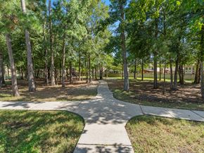 28134 Kudzu Drive, Spring TX 77386