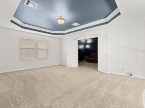 28134 Kudzu Drive, Spring TX 77386