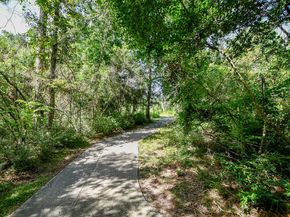 3500 Tangle Brush Drive 14, The Woodlands TX 77381