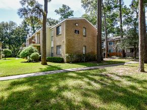 3500 Tangle Brush Drive 14, The Woodlands TX 77381