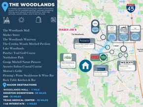 3500 Tangle Brush Drive 14, The Woodlands TX 77381