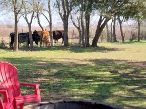 6570 Manorwood Drive, Katy TX 77493