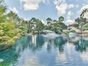 2803 Kings Crossing Drive 315, Kingwood TX 77345