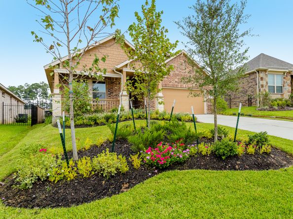 16 Florentino Vine Place, The Woodlands TX 77354