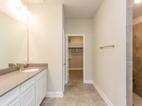 16 Florentino Vine Place, The Woodlands TX 77354