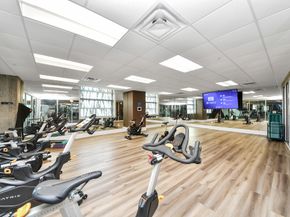 5925 Almeda Road 11616, Houston TX 77004