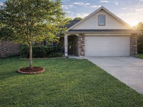 13211 Brantfield Park Lane, Tomball TX 77377