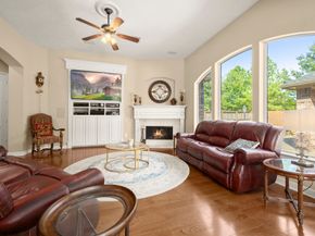 19902 Tidy Tips Lane, Spring TX 77379