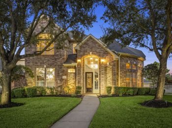 19902 Tidy Tips Lane