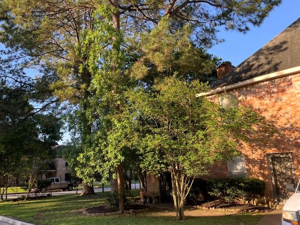 4202 Astwood Court, Houston TX 77068