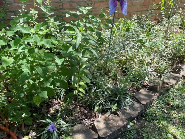 4202 Astwood Court, Houston TX 77068